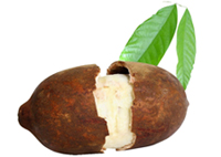 Polpa de cupuaçu - 1kg